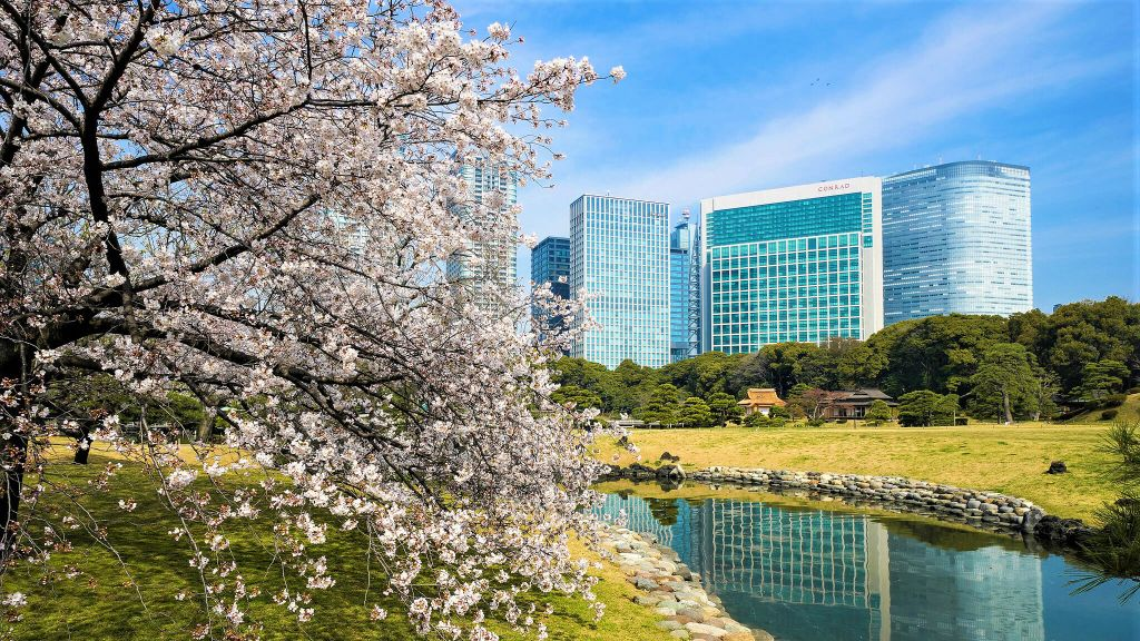 Hotel en Tokio · colección Signature